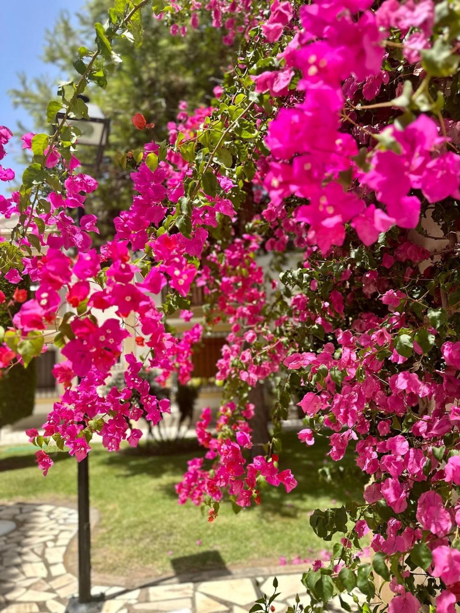 Casa Veranera Vera Costa Playas de Vera エクステリア 写真