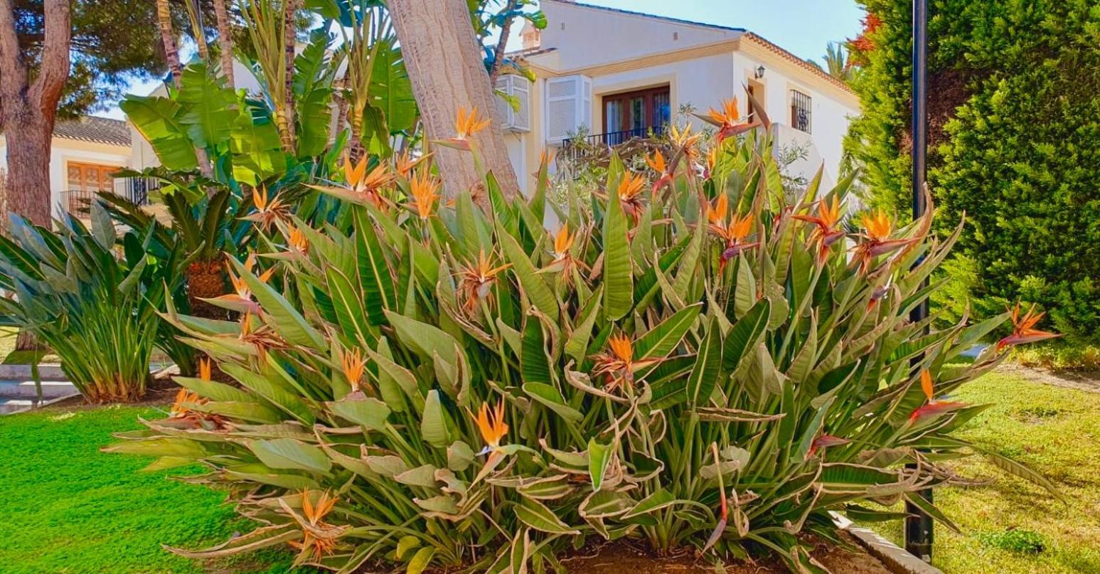 Casa Veranera Vera Costa Playas de Vera エクステリア 写真