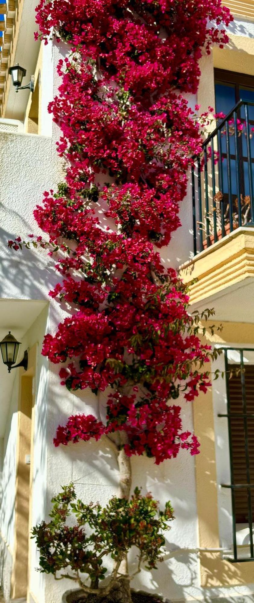 Casa Veranera Vera Costa Playas de Vera エクステリア 写真
