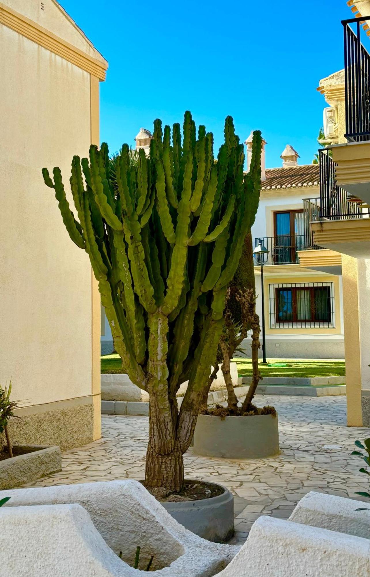 Casa Veranera Vera Costa Playas de Vera エクステリア 写真