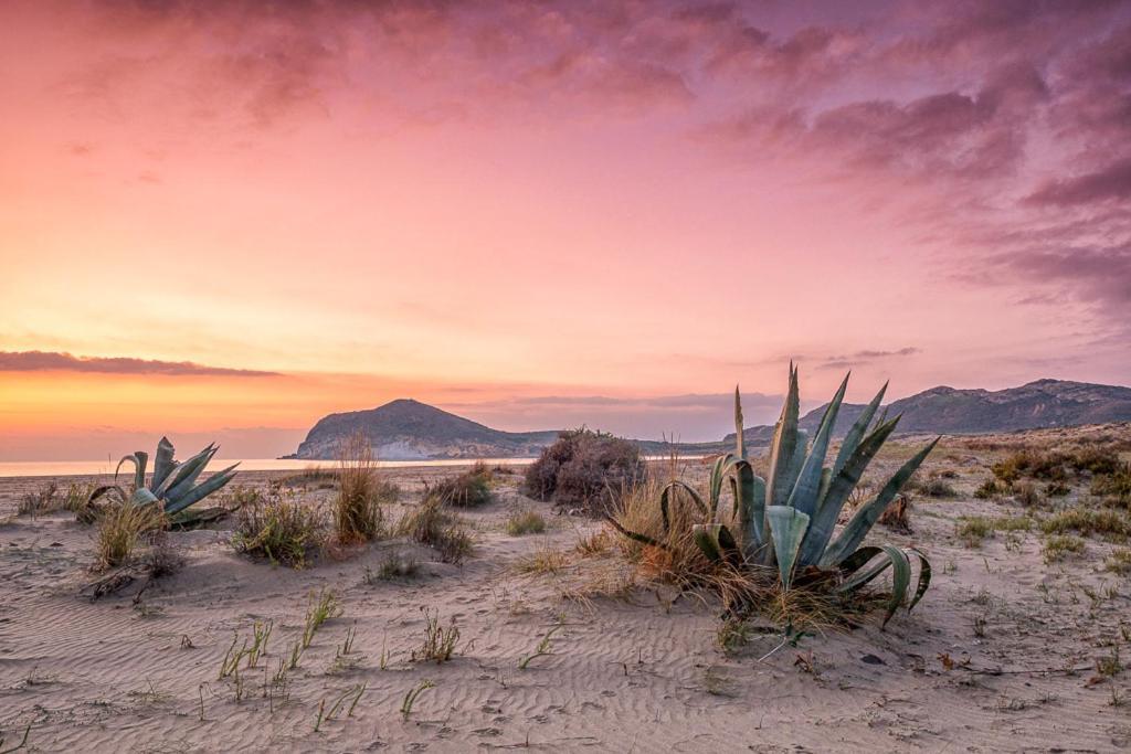 Casa Veranera Vera Costa Playas de Vera エクステリア 写真